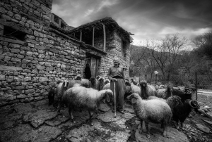 Salon Honorable Mention